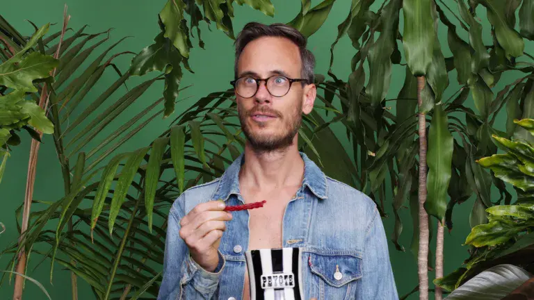 hellogoodbye at DWNTWN312